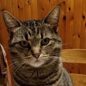 Meet your Posher, Chloe